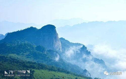 张0山最新爆料,揭秘娱乐圈不为人知的幕后真相  第3张